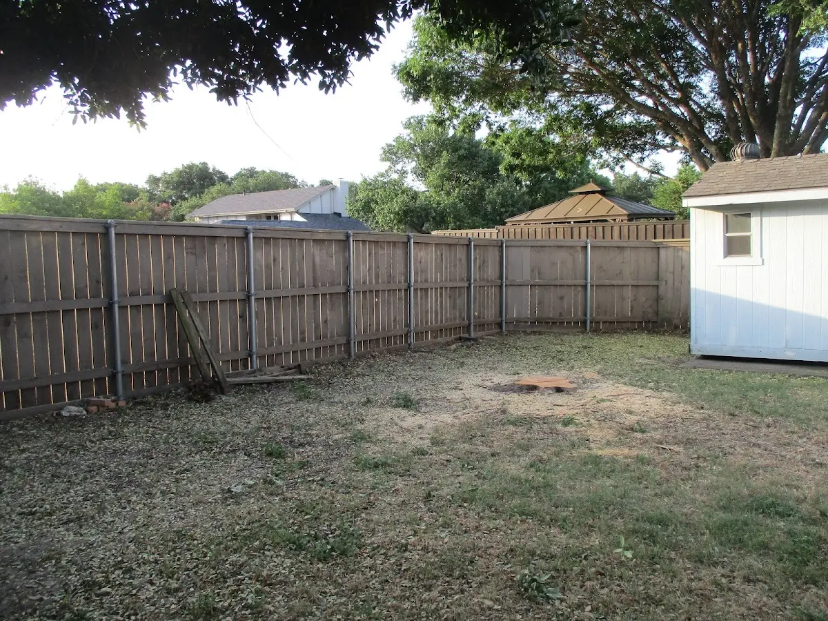 Cleared yard after professional tree removal in Chisago City